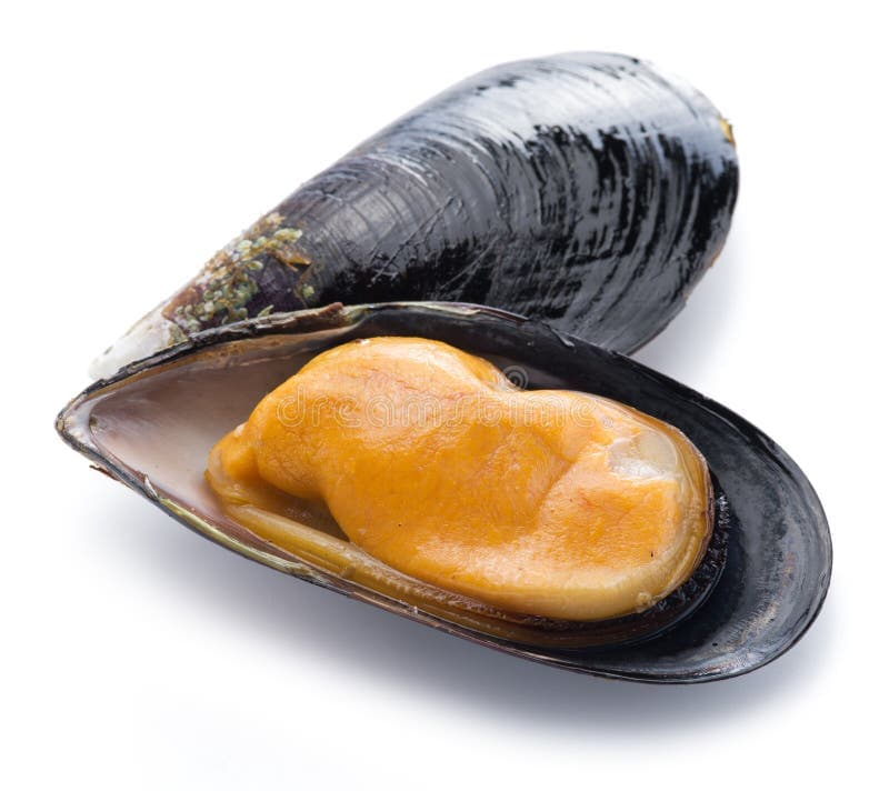 Moules