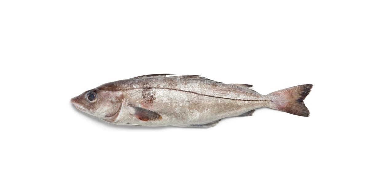 Églefin