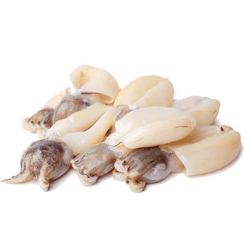 Supions